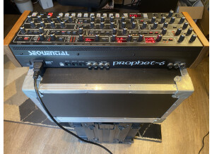 Sequential Prophet-6 Module (21350)