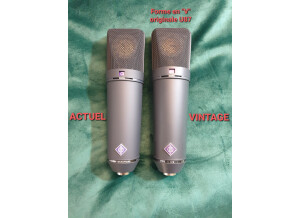 WhatsApp Image 2025-04-02 at 22.31.10