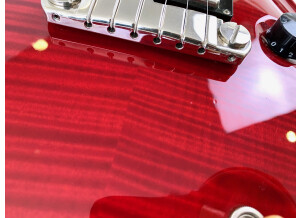 PRS Custom 22 Birds (36443)