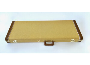 Fender ’55 Dual Mag Strat Journeyman Relic (81238)