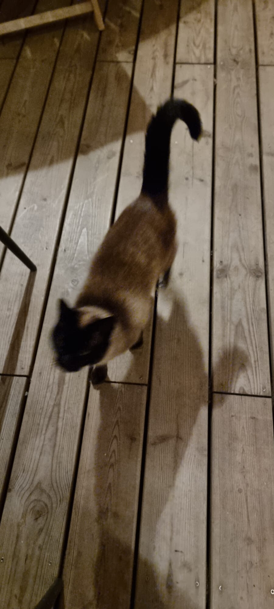 6446661.jpg 6446661.jpg