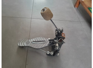 Asba Caroline (8064)