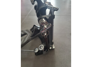 Asba Caroline (21608)