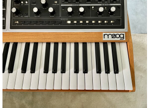 Moog Music Moog One 8 (38597)