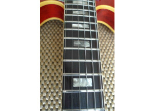 Gibson ES-335 TDC (91484)