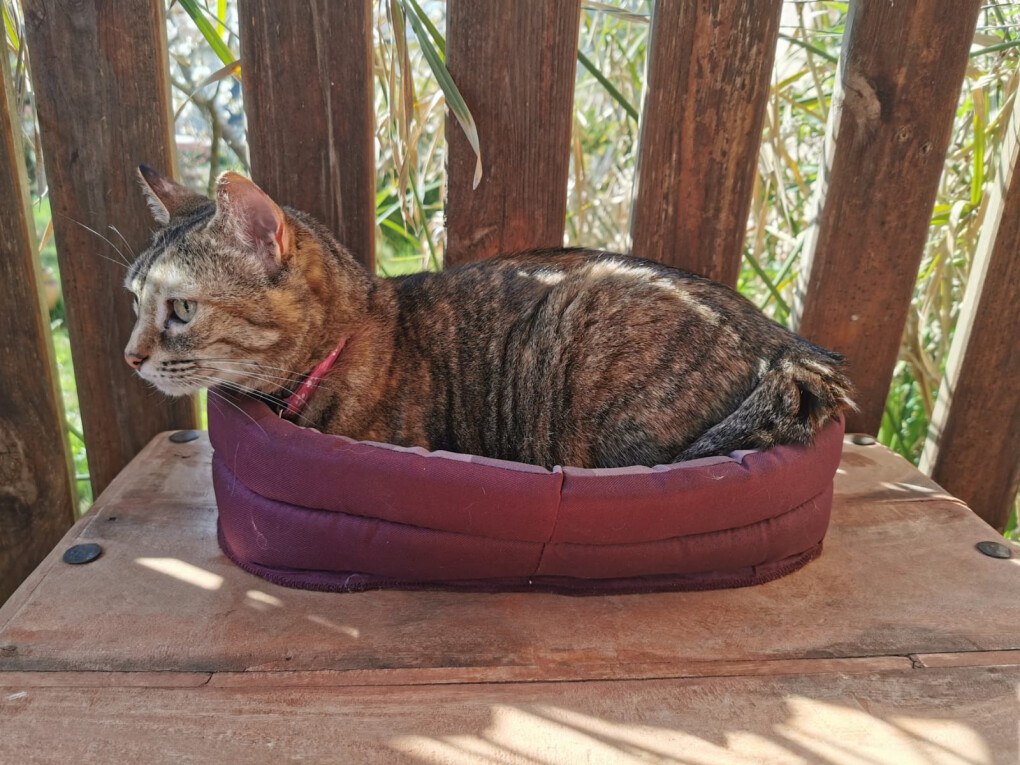 6449742.jpg 6449742.jpg