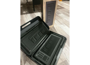 ROLI Seaboard Rise 25 (74905)