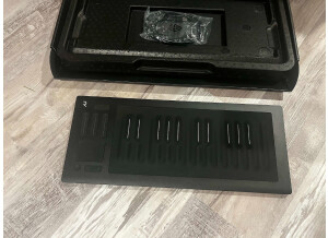 ROLI Seaboard Rise 25 (96638)