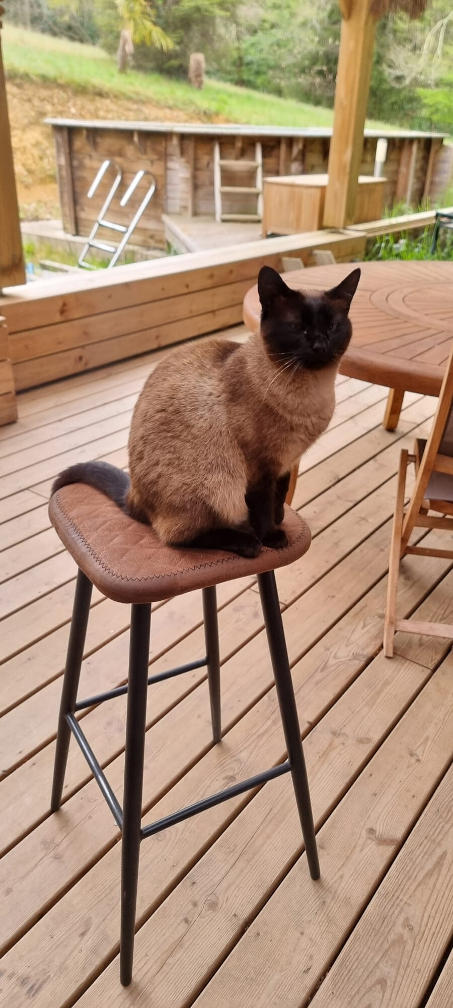 6449870.jpg 6449870.jpg