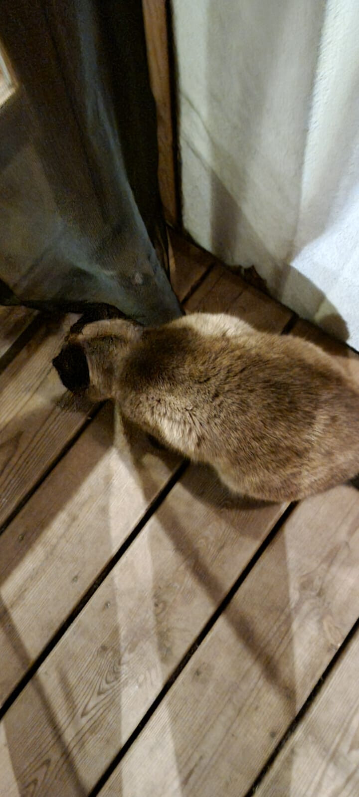 6449871.jpg 6449871.jpg