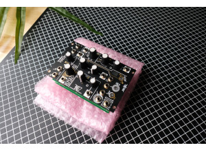 Make Noise Mimeophon (28131)