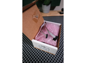 Make Noise Mimeophon (52808)