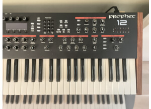 Dave Smith Instruments Prophet 12 (7171)