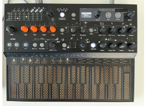 Arturia MicroFreak Stellar (17755)