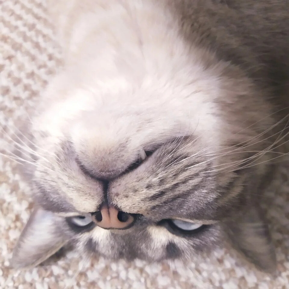 6450791.jpg 6450791.jpg