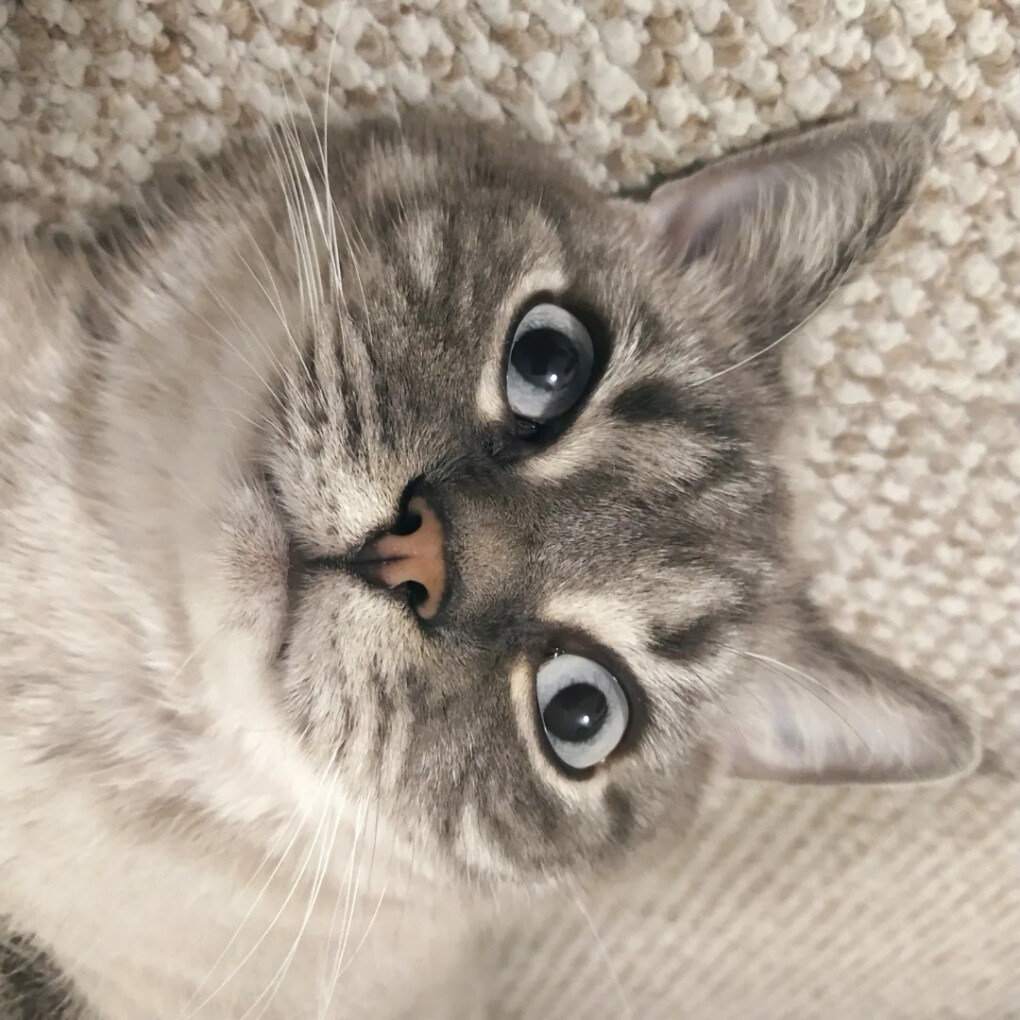 6450793.jpg 6450793.jpg