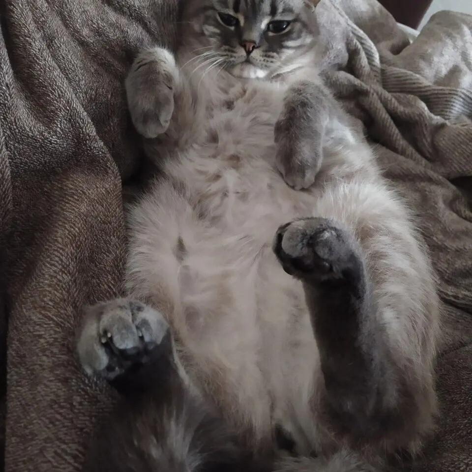 6450796.jpg 6450796.jpg