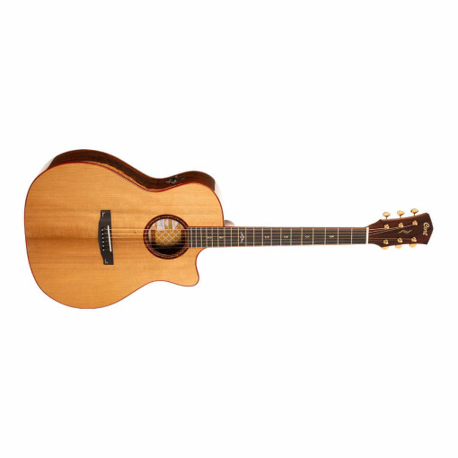 Gold-A10 Cocobolo Gold-A10 Cocobolo
