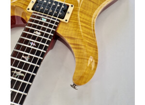 PRS Custom 24 Birds 10-Top (35713)