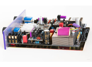 Purple Audio Biz Mk-4