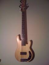 Aslin Dane AMB 200