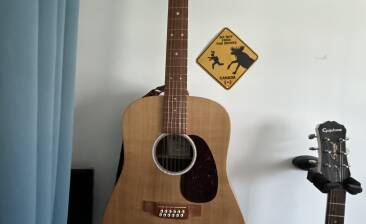 Martin & Co D-X2E Brazilian 12-String (2024)
