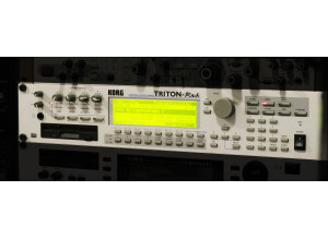 Korg Triton Rack (88209)