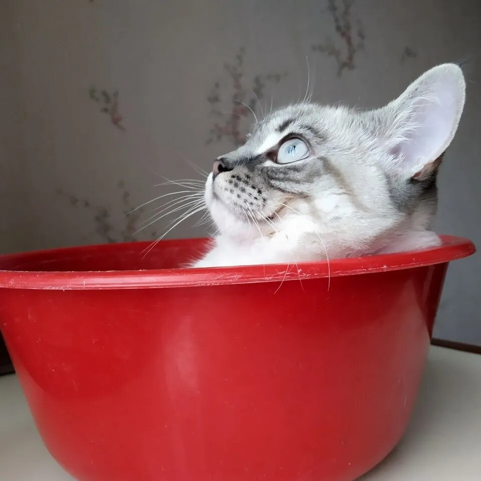 6458316.jpg 6458316.jpg