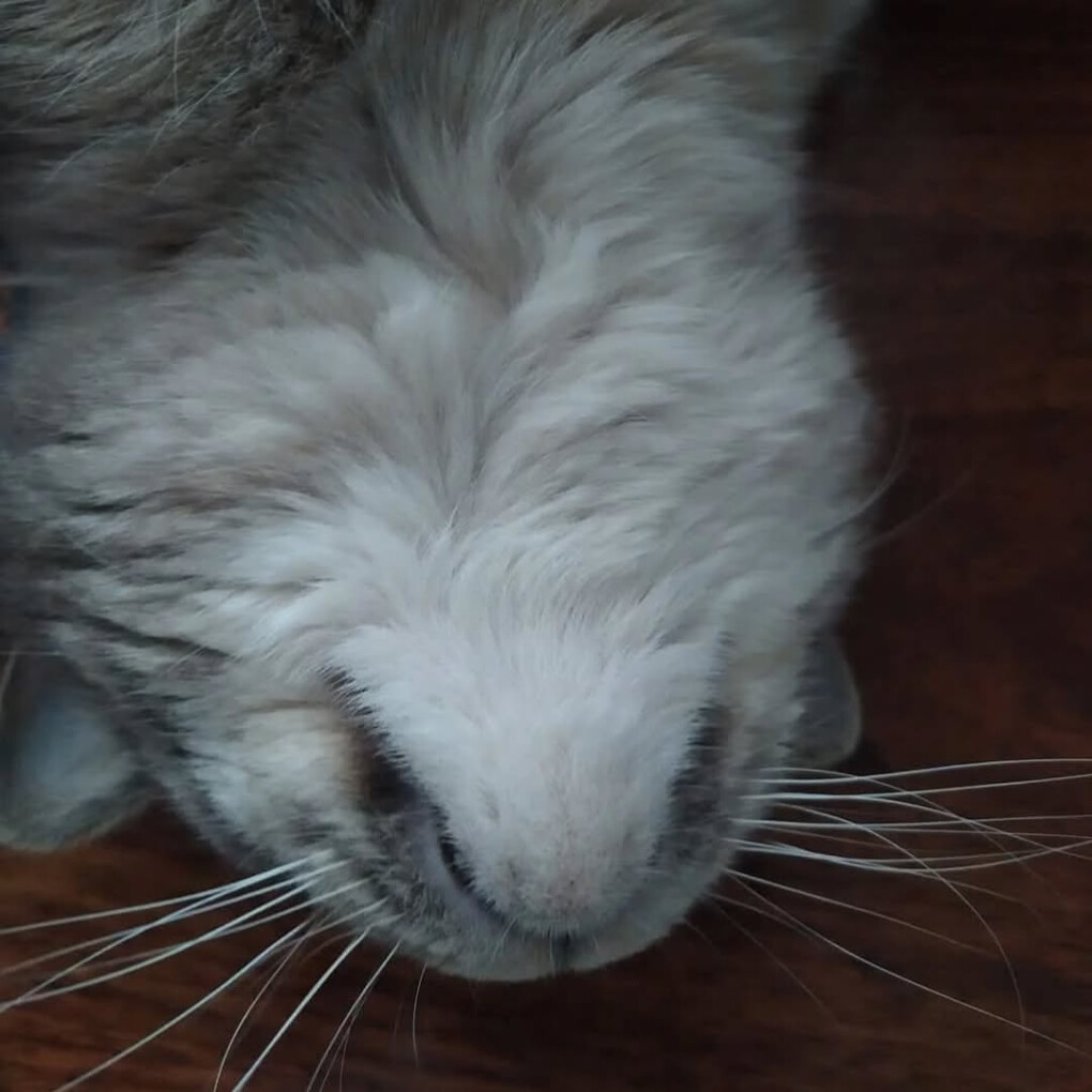 6458319.jpg 6458319.jpg