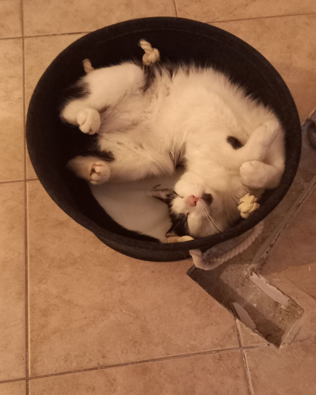 6458324.jpg 6458324.jpg