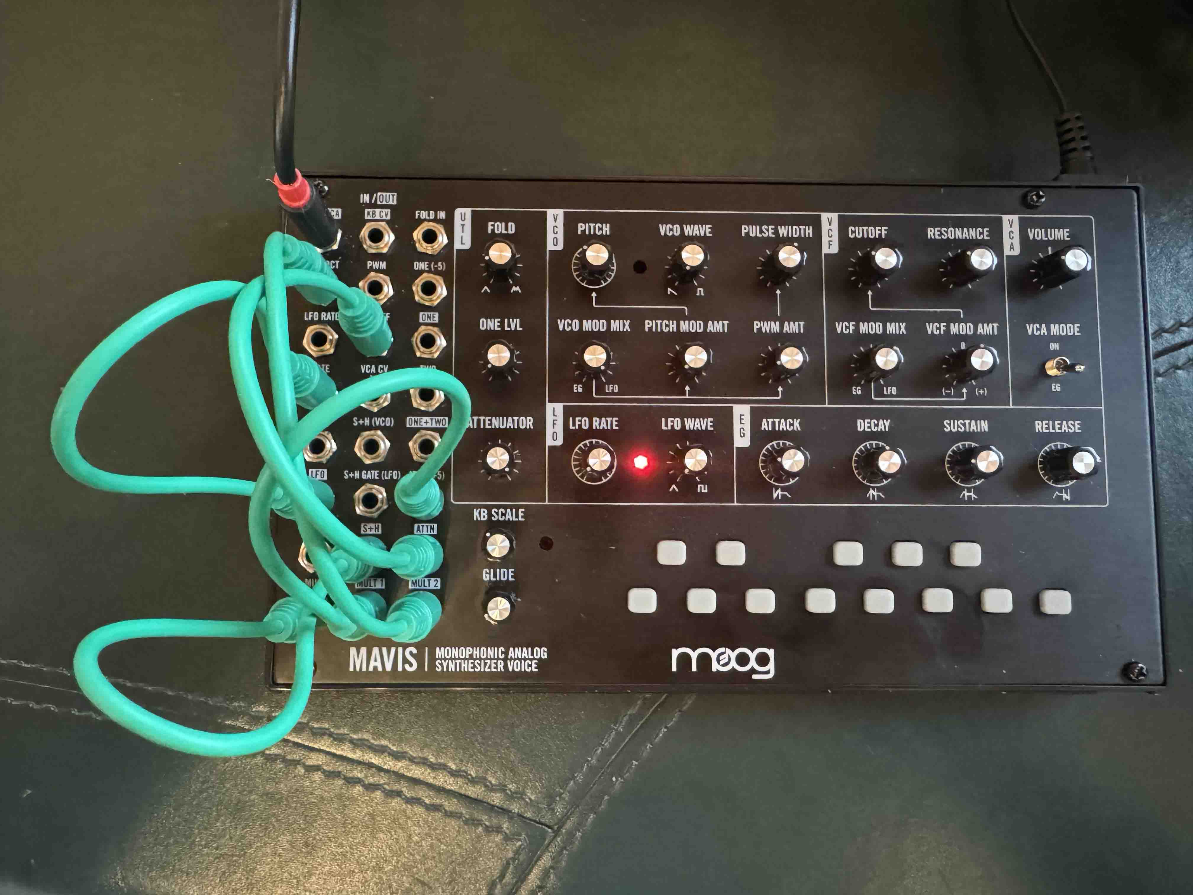 Moog Music Mavis