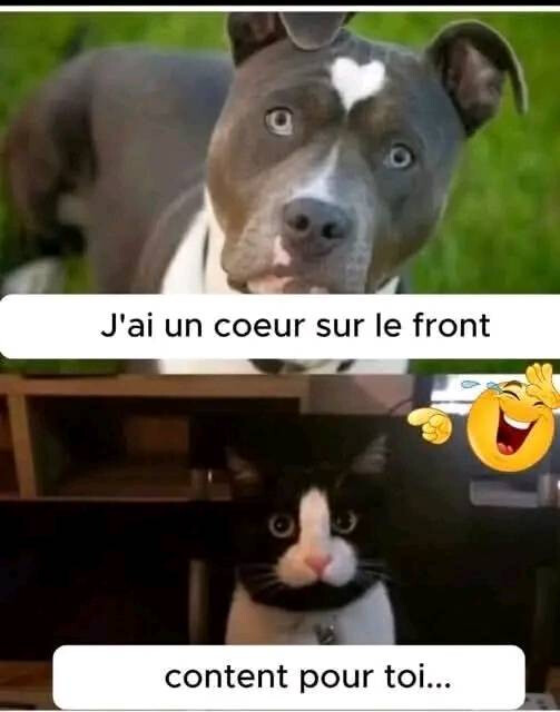 6459887.jpg 6459887.jpg