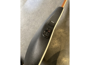 Ovation Celebrity Standard CS28P (78058)