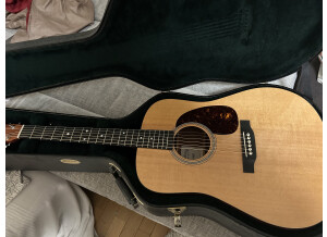 Martin & Co D-16GT (36483)