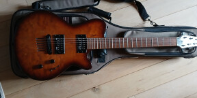 Guitare Godin LG