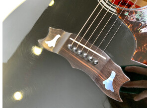 Gibson Dove (17905)