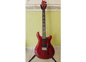 PRS SE Custom 24 (2023) (60309)