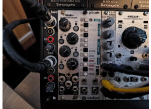 Intellijel Designs µScale II (83031)