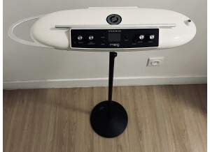 Moog Music Theremini (69)