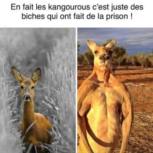 6465379.jpg 6465379.jpg