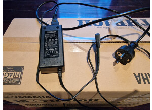 Yamaha THR10II (1259)
