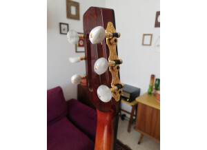 17453280916626645766942738810318