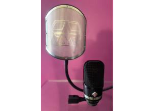 Neumann TLM 107 (61079)
