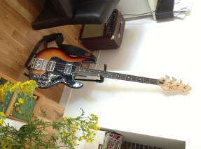 Peavey T-40