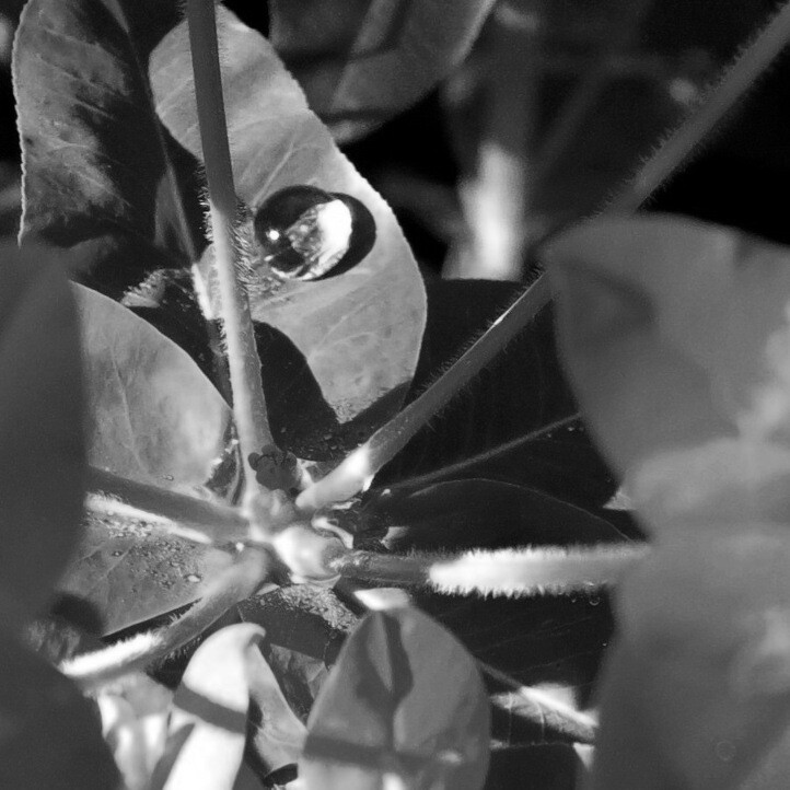 6469508.jpg 6469508.jpg