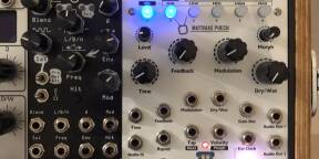 Vends TAPOGRAPHIC DELAY