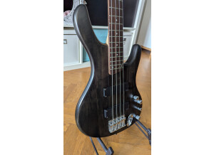 Ibanez EDB400 (84143)