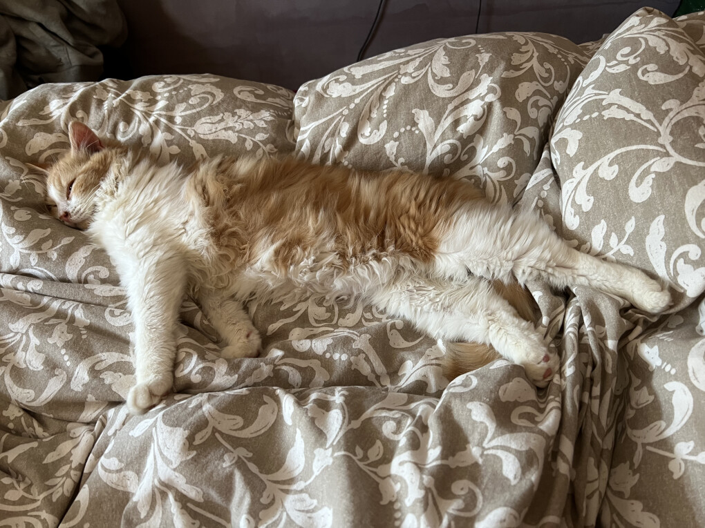 6470918.jpg 6470918.jpg