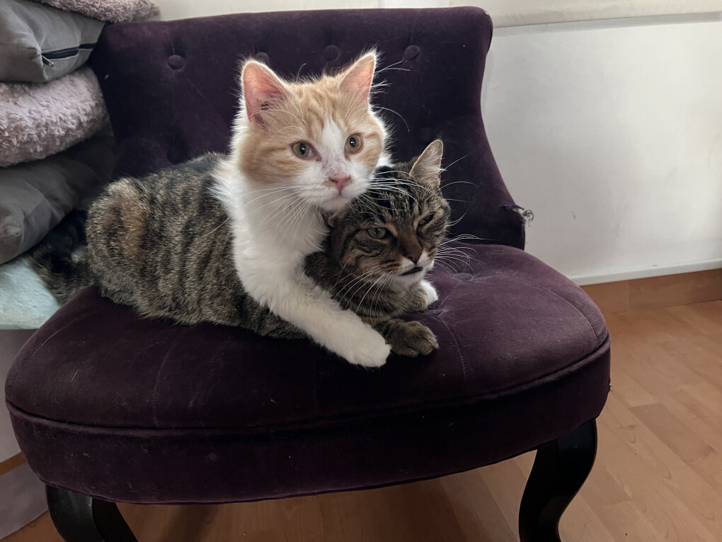 6470919.jpg 6470919.jpg