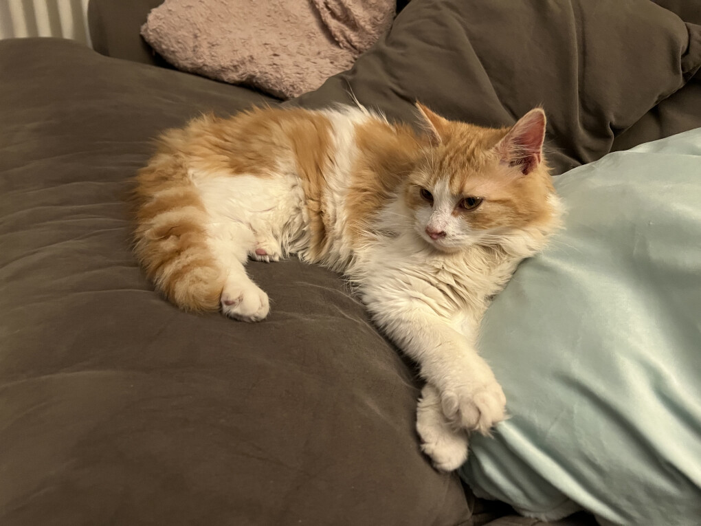 6470920.jpg 6470920.jpg